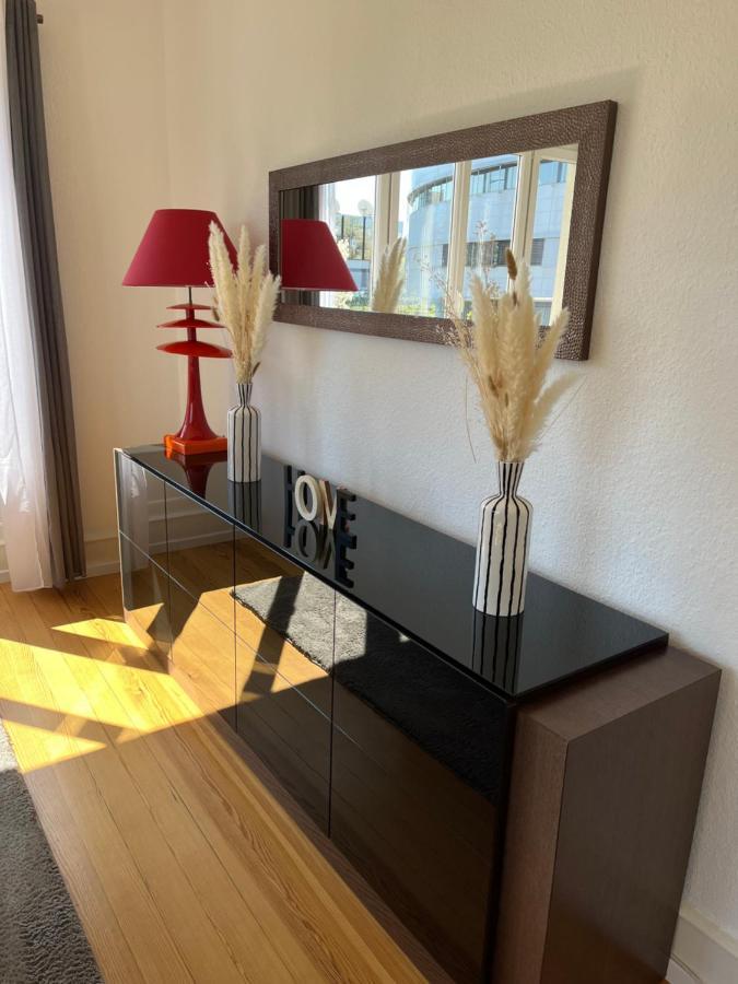 Apartment De Prestige Au Centre Climatise Avec Jardin Prive Colmar