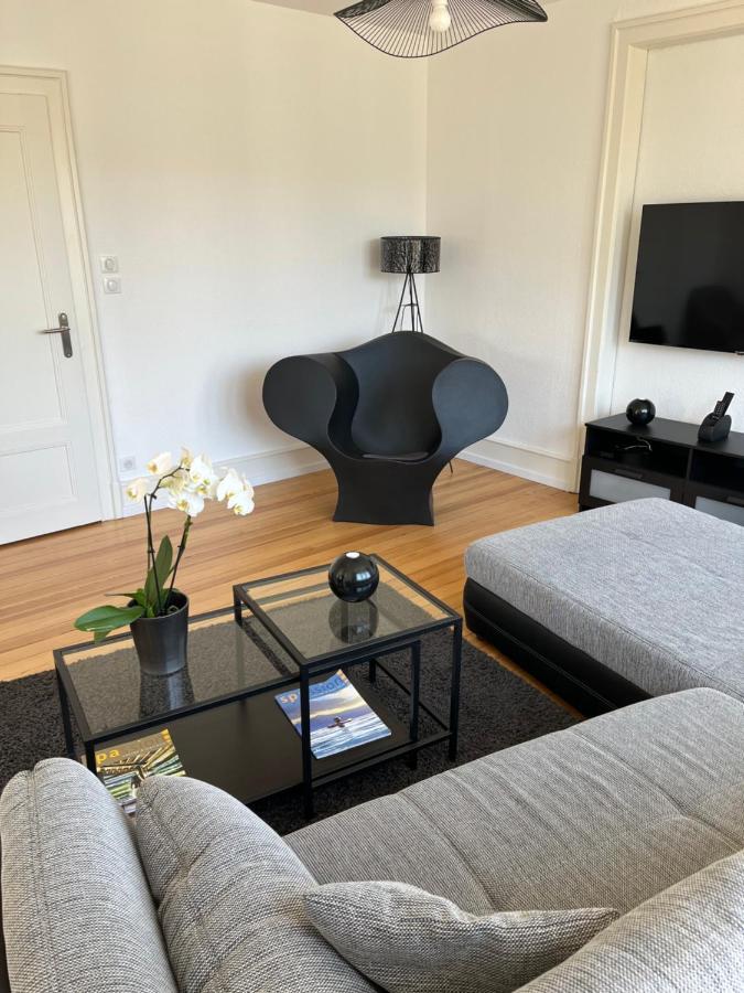 De Prestige Au Centre Climatise Avec Jardin Prive * Colmar