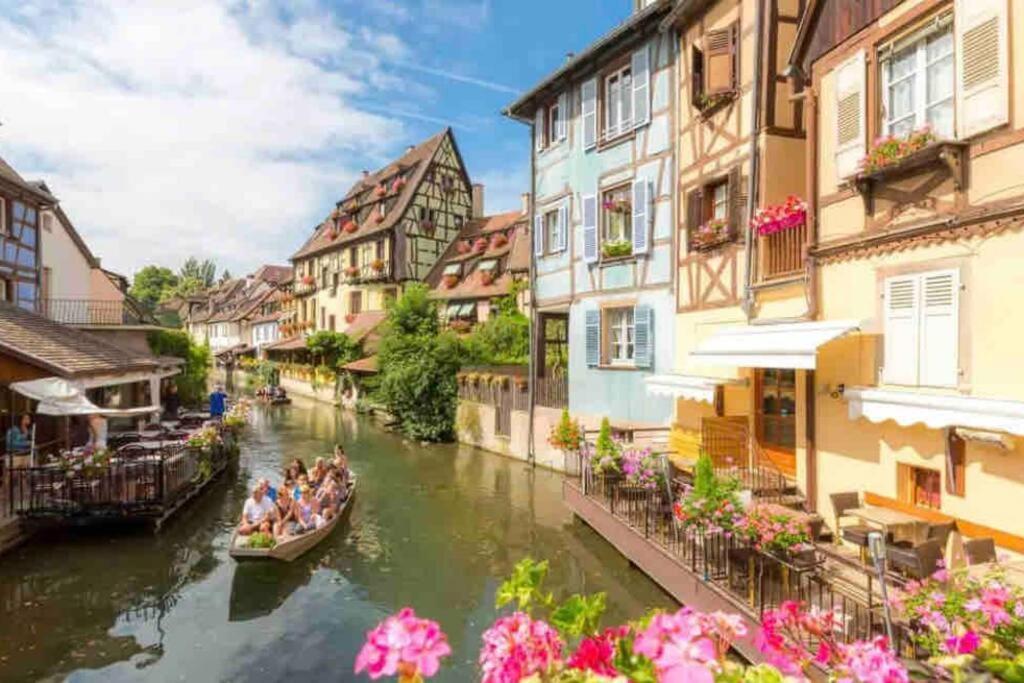 T3 Renove 60m2 Proche Centre Colmar