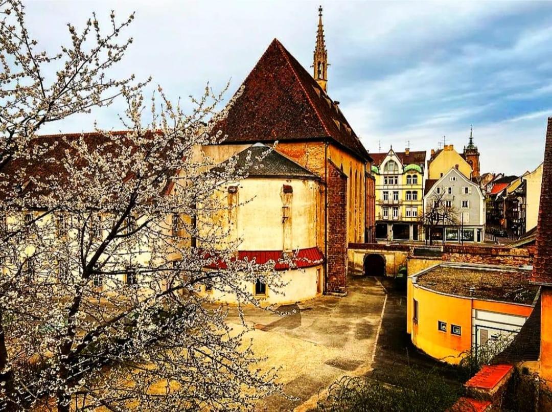 Charme Centre Appartement