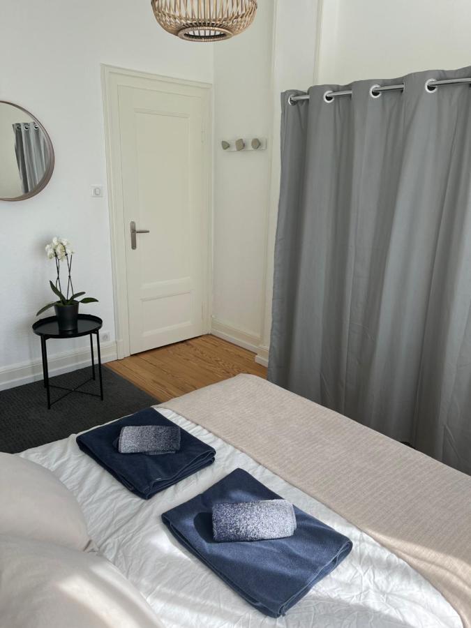 De Prestige Au Centre Climatise Avec Jardin Prive Colmar
