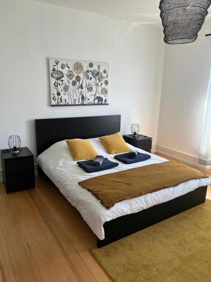 Apartment De Prestige Au Centre Climatise Avec Jardin Prive *