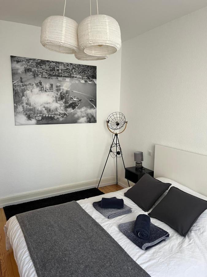 De Prestige Au Centre Climatise Avec Jardin Prive Apartment Colmar