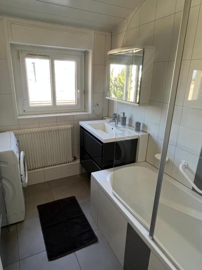 Superbe Au Centre + Parking Privé Colmar