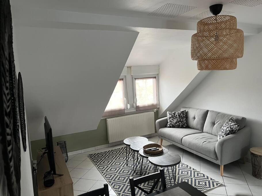 T3 Renove 60m2 Proche Centre Colmar