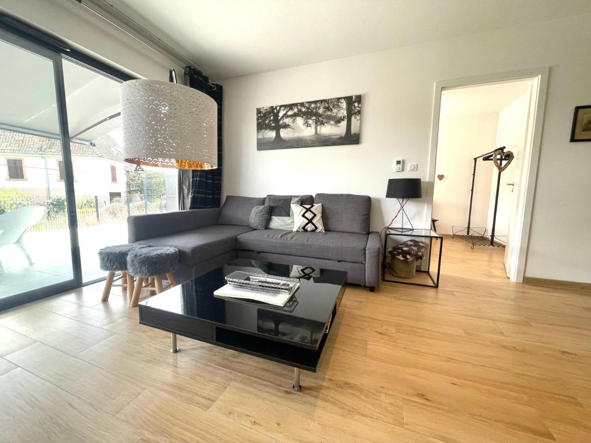 Apartment Magnifique 2 Pieces, Equipe, Terrasse Privee Colmar