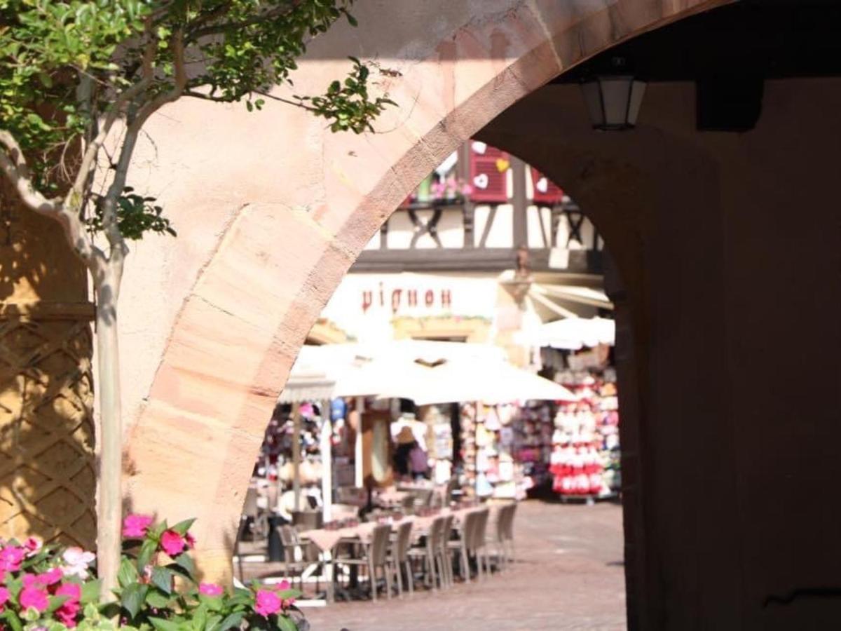 Lumineux A Avec Terrasse, Parking Et Wifi - 5 Min Du Centre - Fr-1-722-1 Appartement Colmar