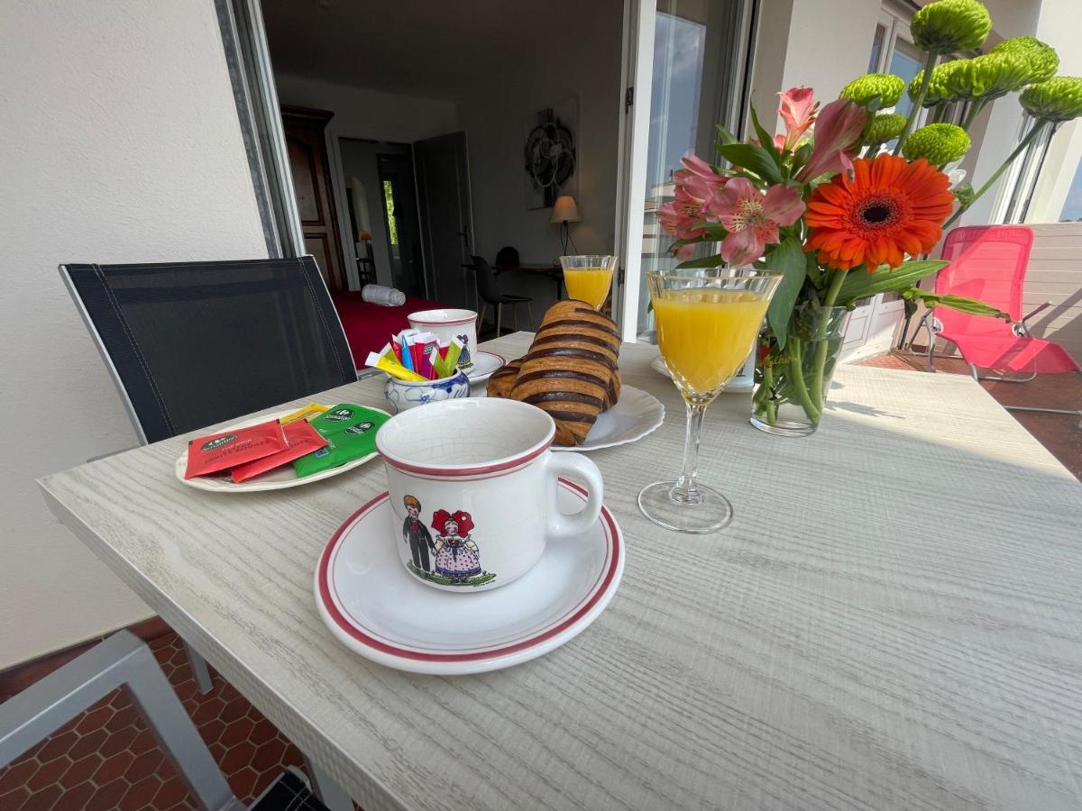 Appartement Le Sorbier 2pers Proche Centre, Ascenseur, Garage Colmar