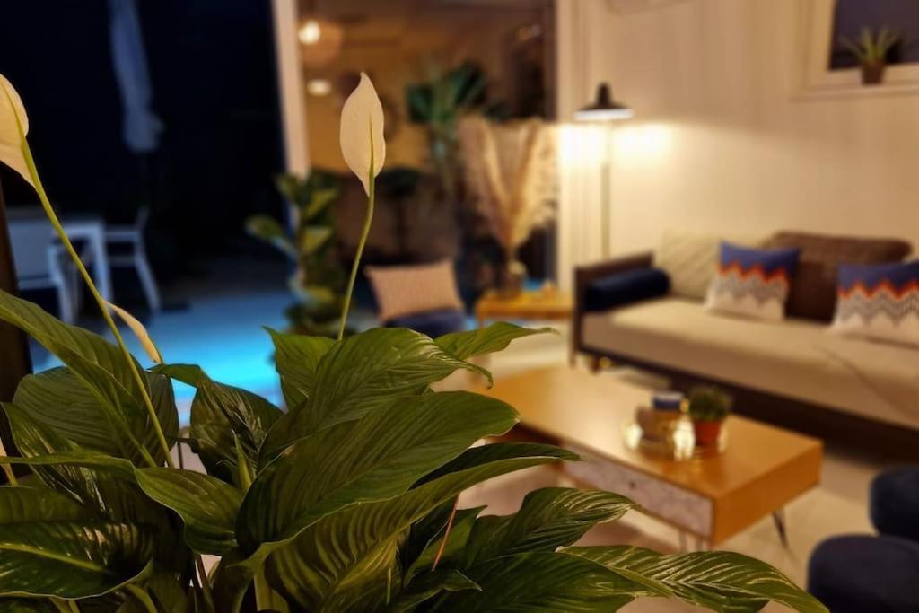 Appartement Prestige Neuf Avec Et Ecran De Cinema En Rez De Jardin *