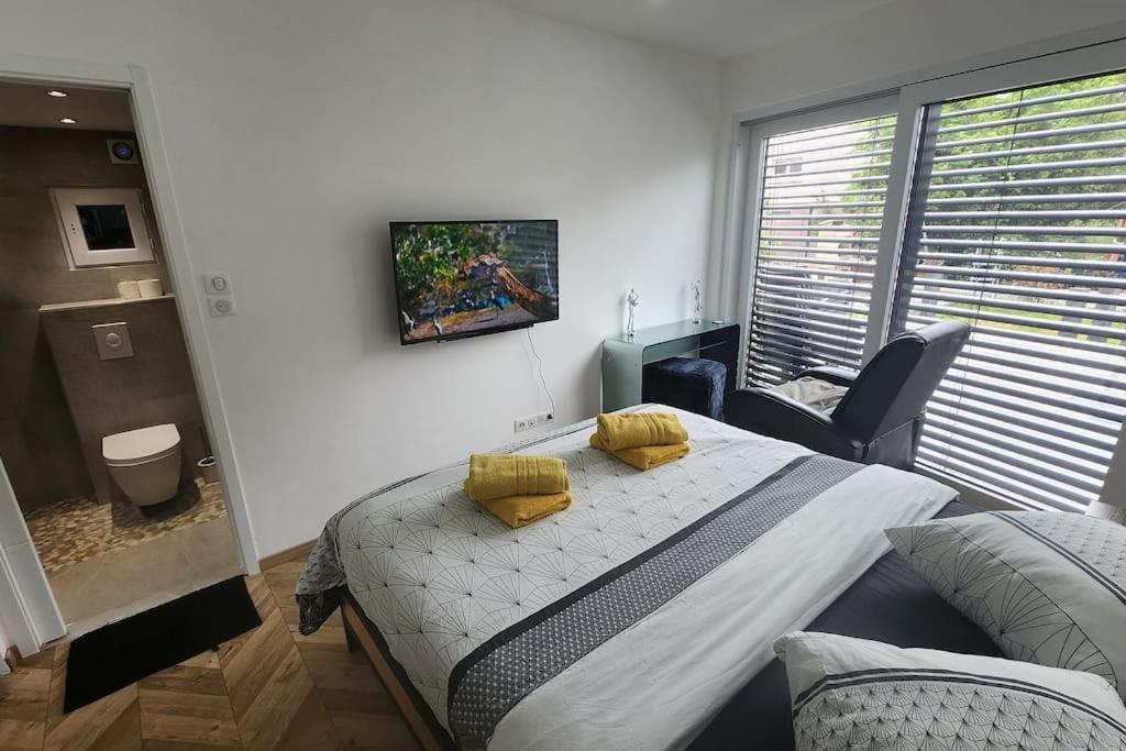 Prestige Neuf Avec Et Ecran De Cinema En Rez De Jardin * Colmar