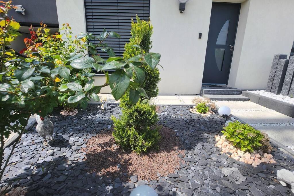 Prestige Neuf Avec Et Ecran De Cinema En Rez De Jardin Appartement