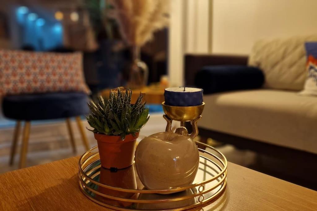 Prestige Neuf Avec Et Ecran De Cinema En Rez De Jardin Appartement Colmar