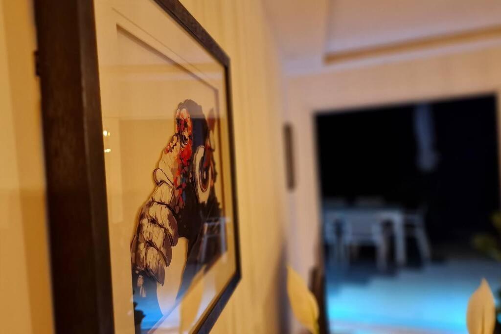 Appartement Prestige Neuf Avec Et Ecran De Cinema En Rez De Jardin