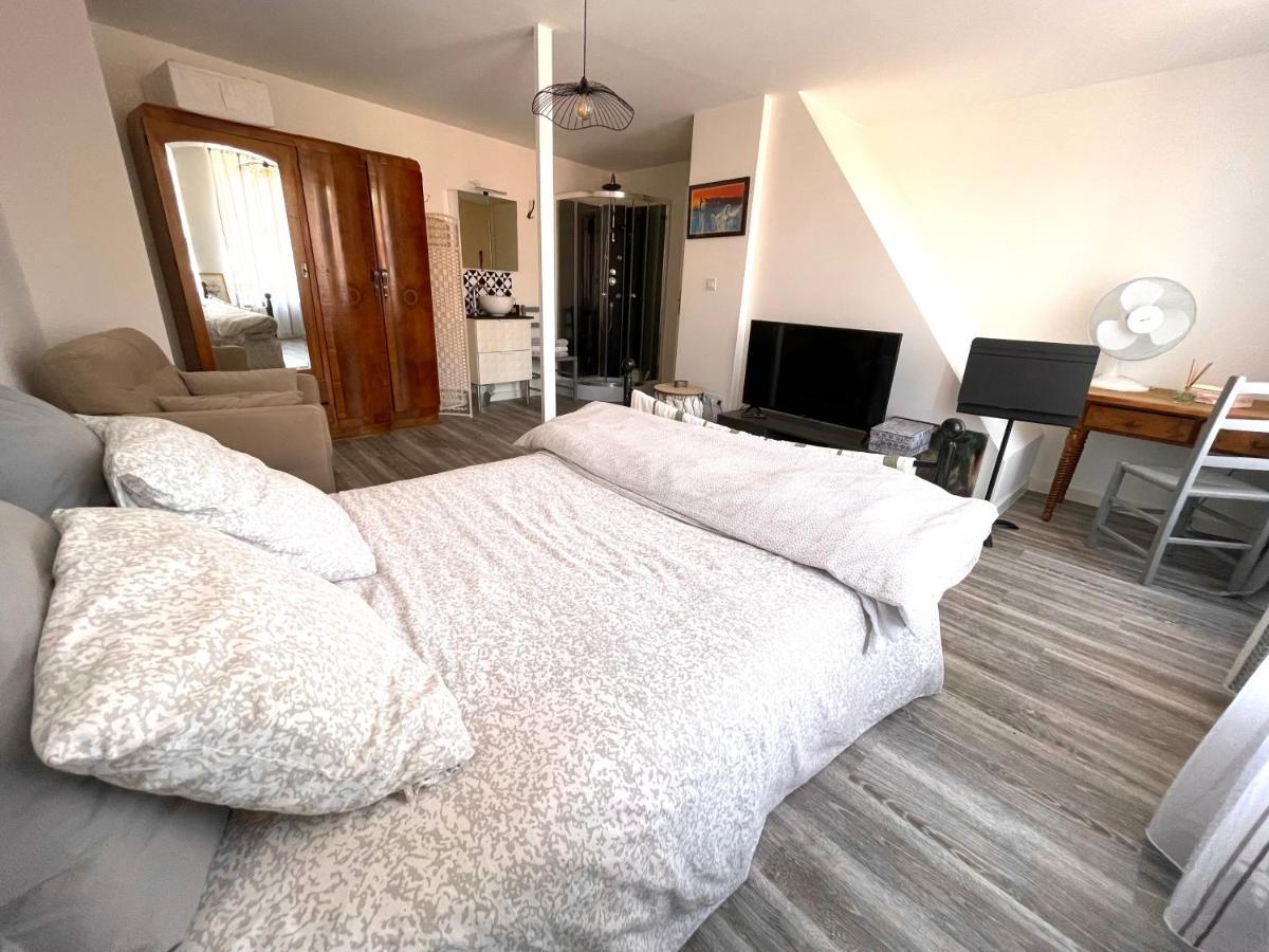 Apartment Standing Hypercentre Colmar
