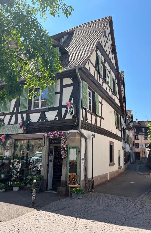 Appartement La Maison Du Batelier - Quartier Historique Petite Venise Colmar