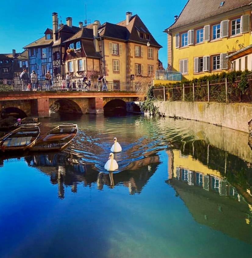 Maison 1708 - Rue Du Canard - Center Appartement Colmar