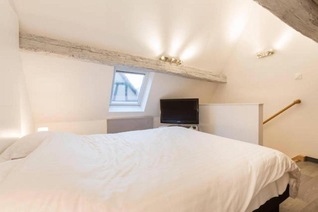 Historic Center - Petite Venise Appartement Colmar