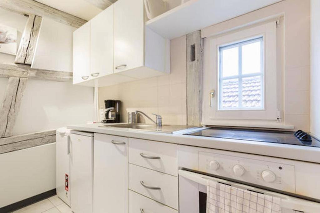 Appartement Historic Center - Petite Venise Colmar