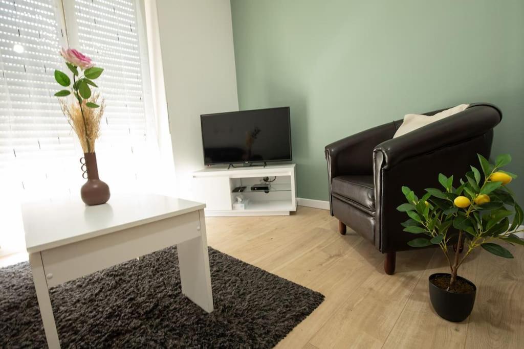 Appartement New Proche Gare Et Centre-ville Colmar