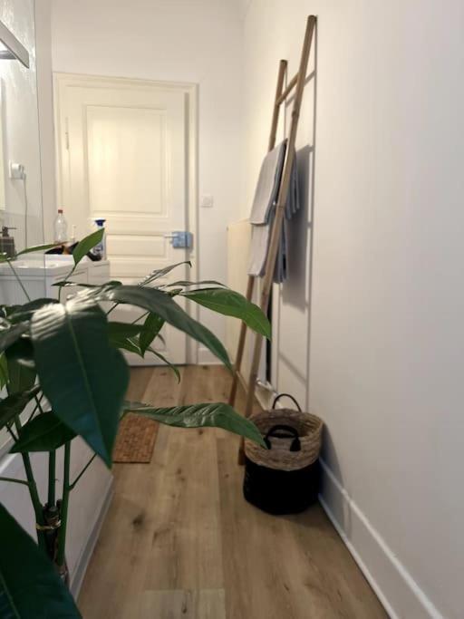 Apartment Cosy Et Lumineux Avec Parking Gratuit
