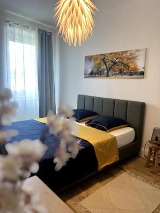 Cosy Et Lumineux Avec Parking Gratuit