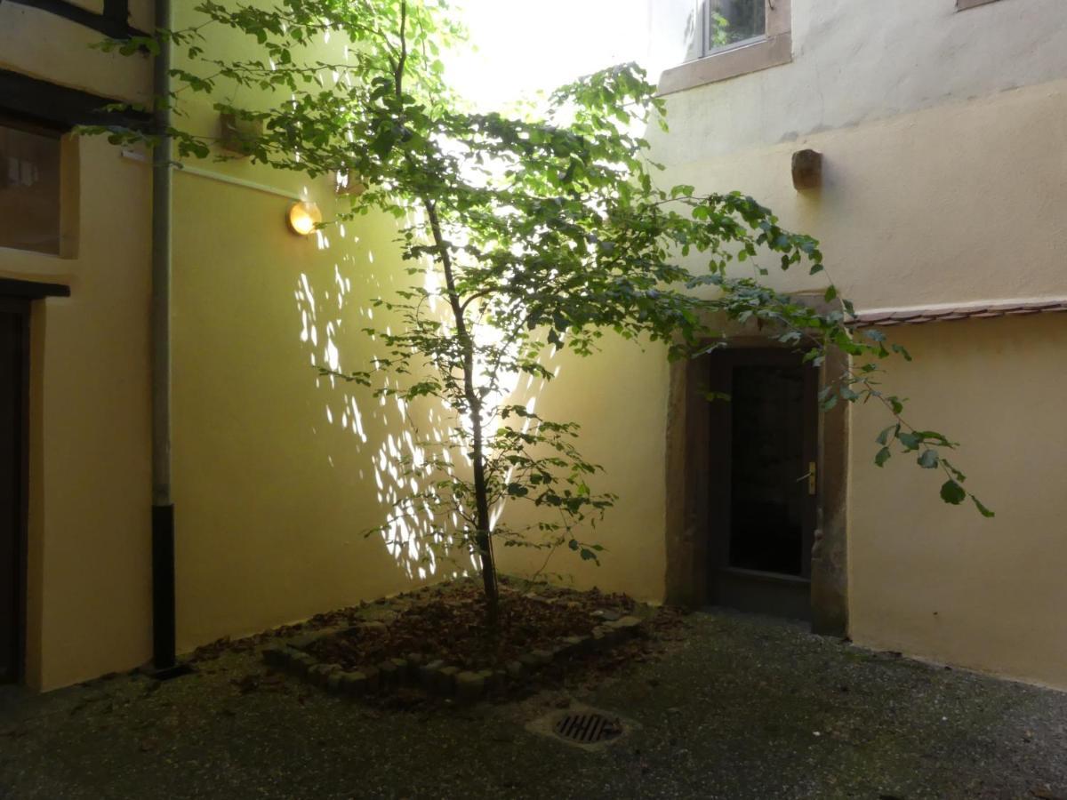La Vie Belle Apartment Colmar
