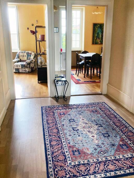Appartement Charmant T3 Proche Du Centre-ville