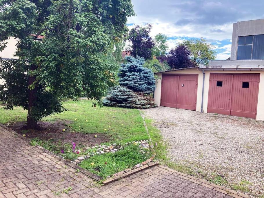 Appartement Charmant T3 Proche Du Centre-ville *