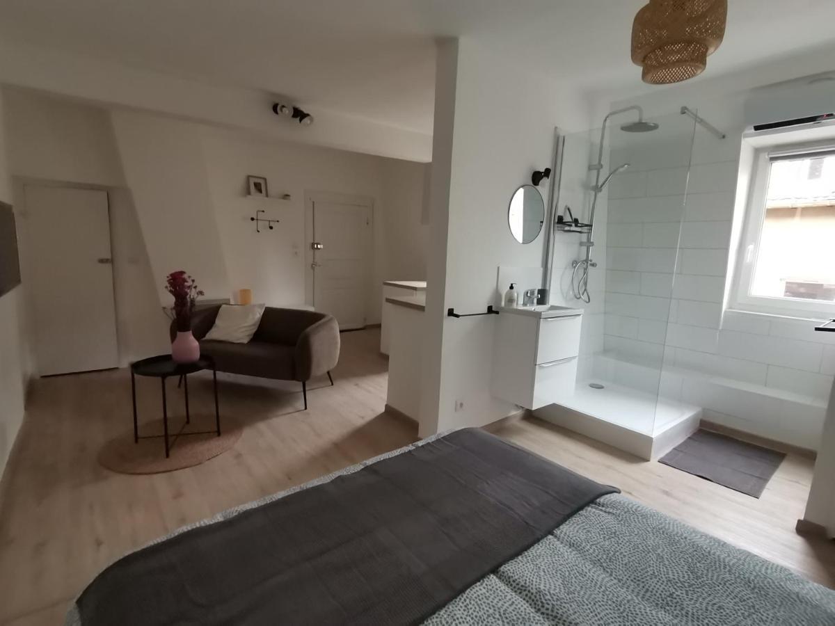 Appartement Toi Mon Toit Colmar