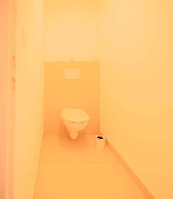 Coeur De Apartment Colmar