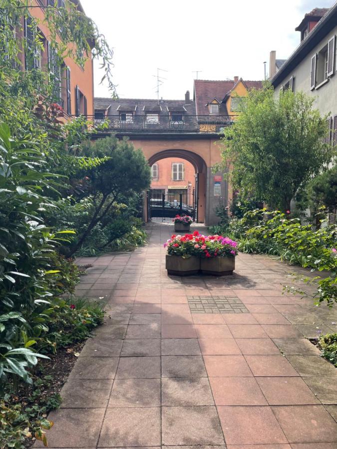 Appartement Colmar, Petite Venise, Avec Ascenseur *