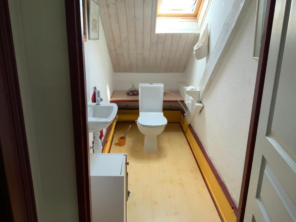 Appartement Coquet F1 Chez Francine Colmar