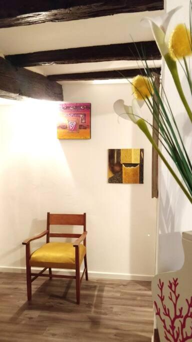 F3 Petite Venise - Gallery Colmar