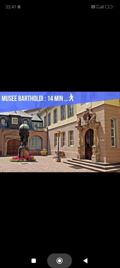 Refuge Ladhof Odysalis I Chic-moderne-proche Du Centre-ville 3 Pieces 2 * Colmar