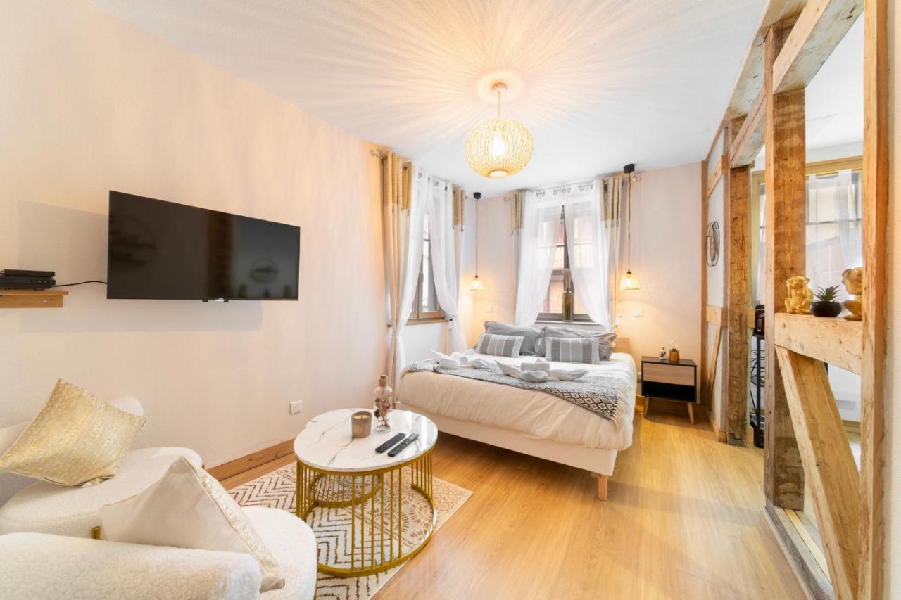 Apartment Au Petit Lion, Centre Garage Gratuit *