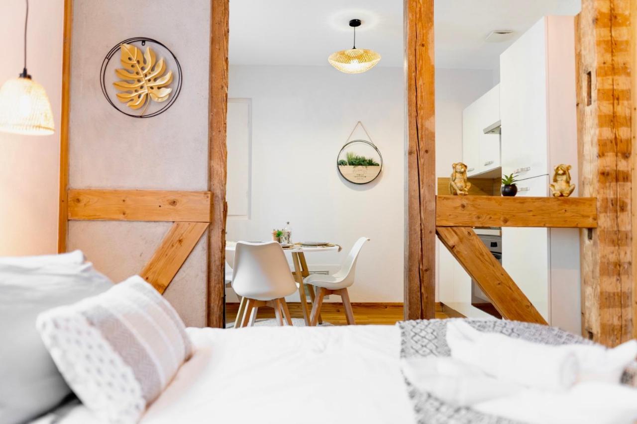 Apartment Au Petit Lion, Centre Garage Gratuit Colmar