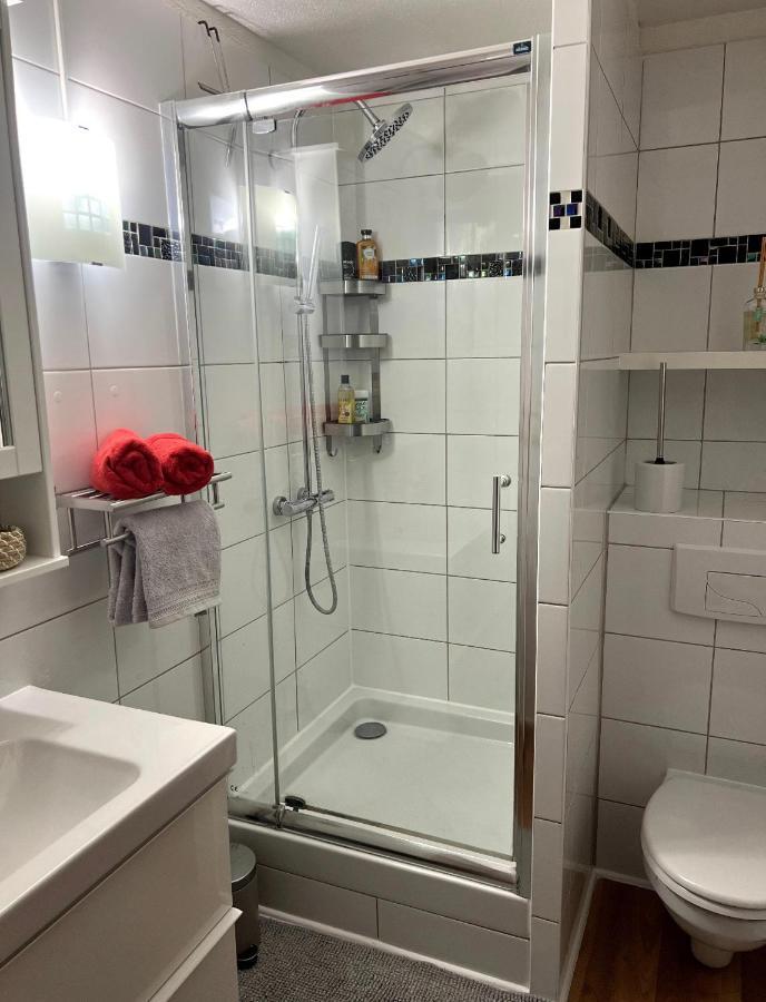 Appartement La Petite Venise Colmar