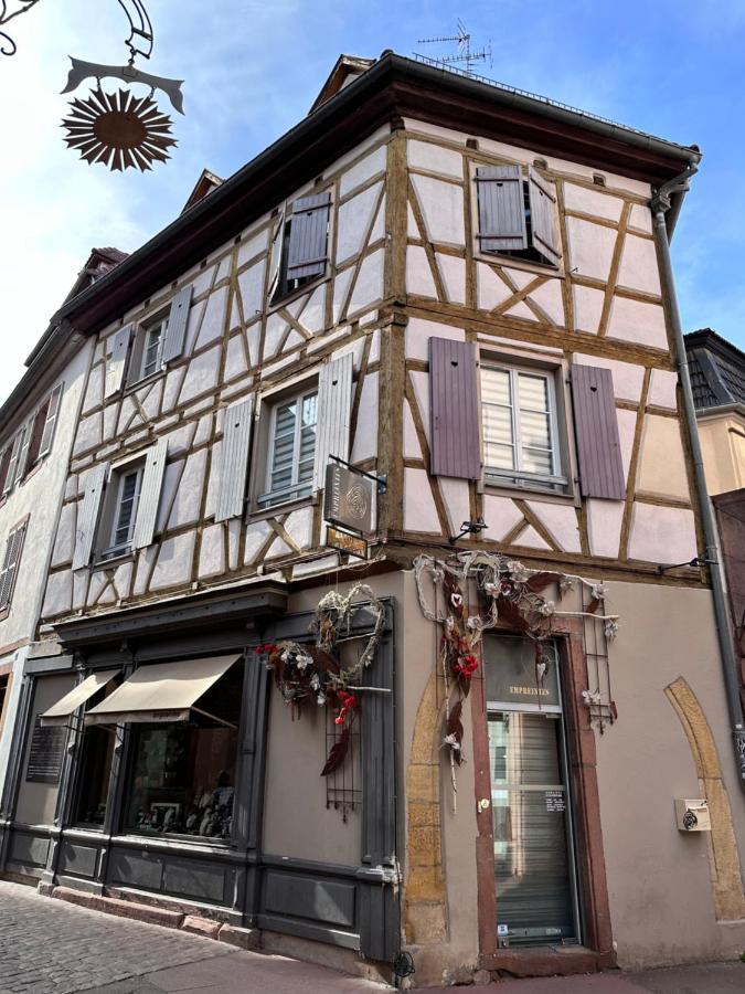 Appartement Le Bijou De Leyna Colmar