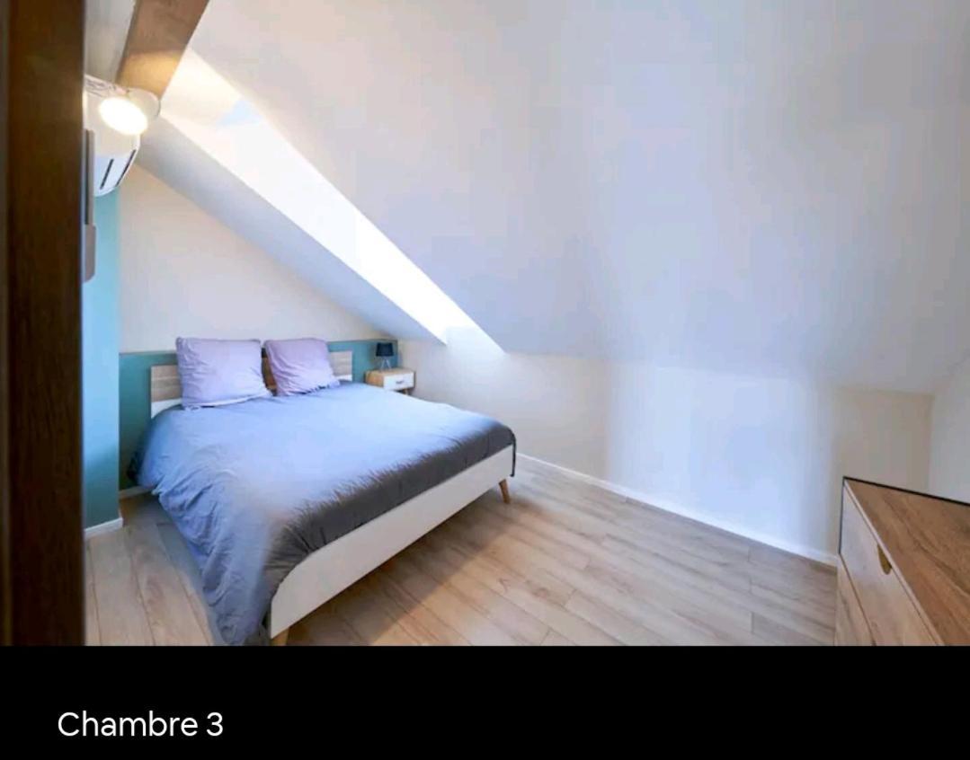 Loft Neuf Avec Bain Jacuzzi Et Terrasse Colmar