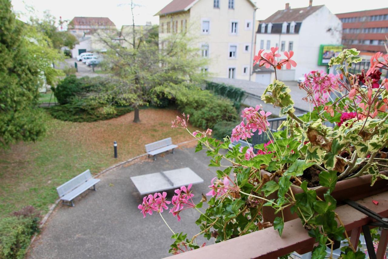 Auberge De Jeunesse Colmar