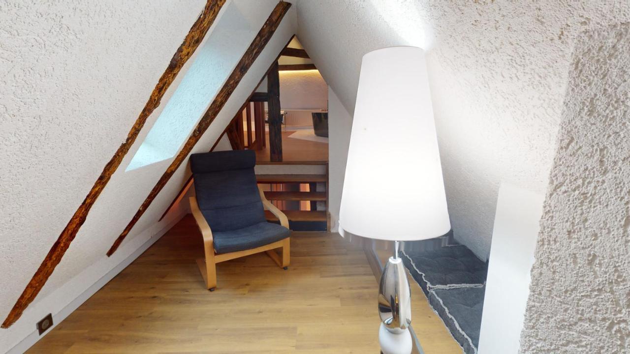 Appartement La Balade De Molly Colmar