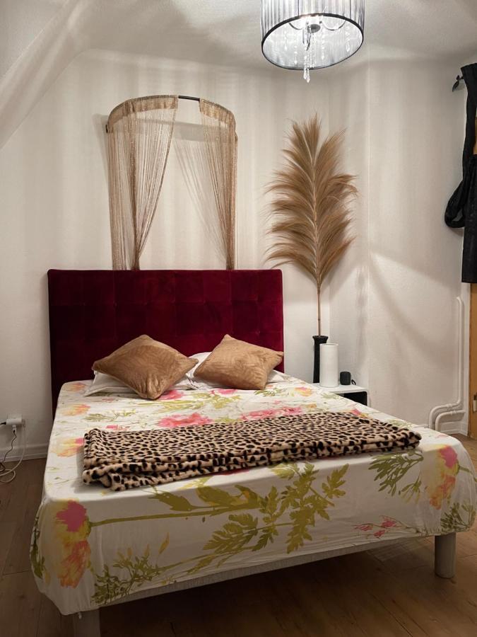 Appartement Chez Elsa Proche Gare Et Centre *