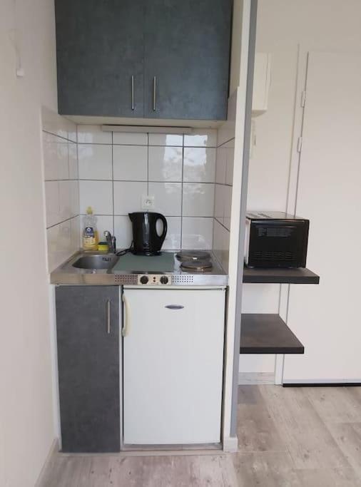 Aux Portes De La Petite Venise Appartement Colmar