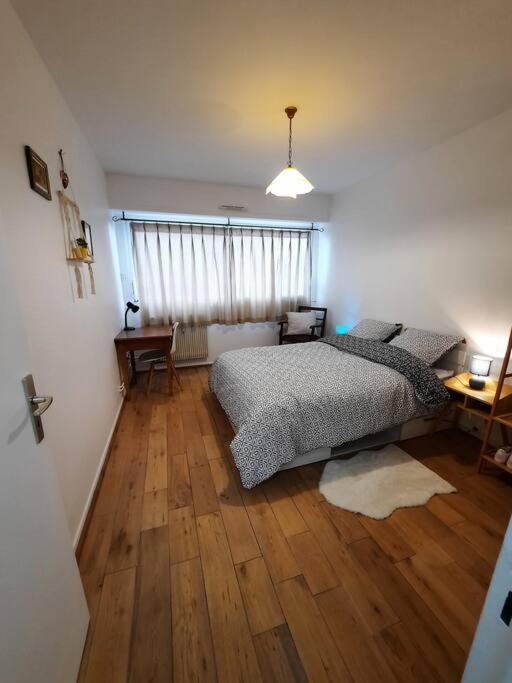 Chez Alice Appartement Colmar