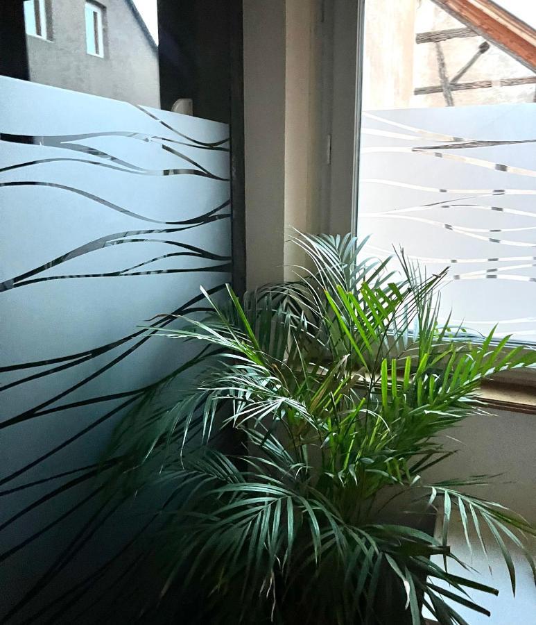 Magnifique 4 Personnes - 2 - 2 Sdb - Grande Terrasse Rue Des Tetes - Centre Appartement *
