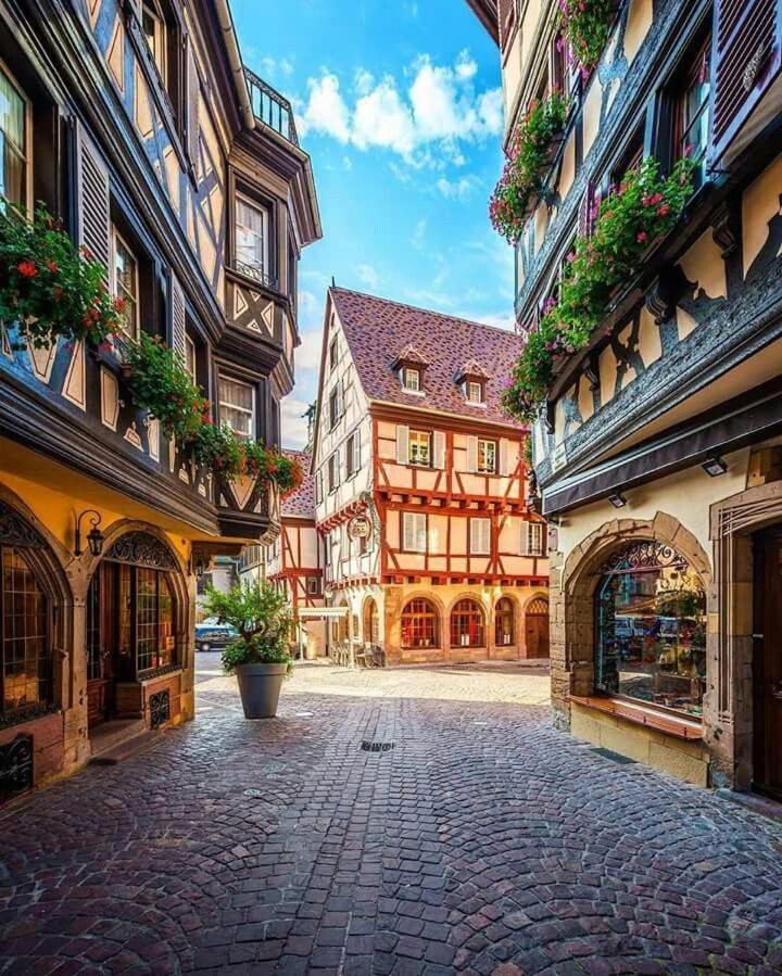 Chez Alice Appartement Colmar
