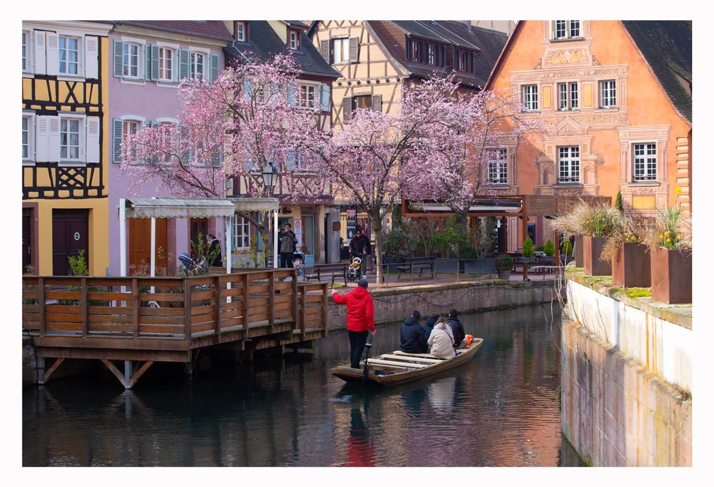 Maison Avec Terrasse Centre * Colmar