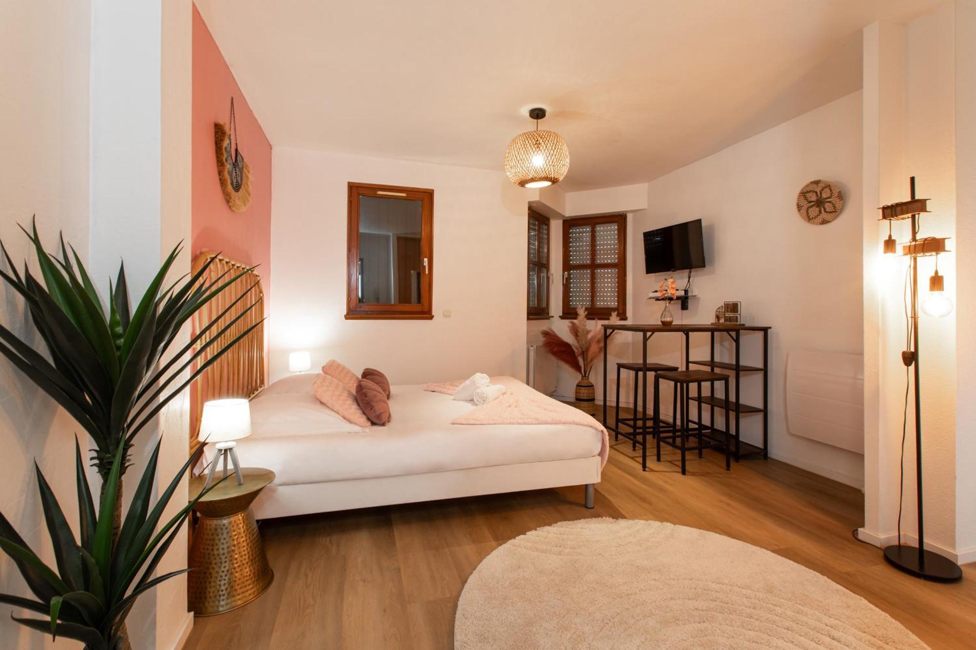 Nouveau - Le Discovery - Petite Venise Apartment Colmar