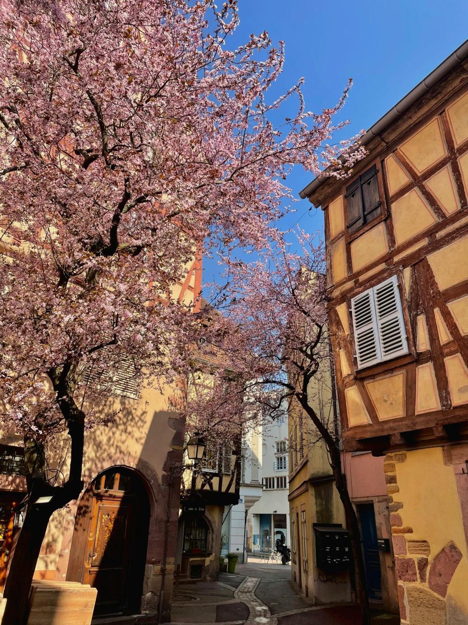 Travel Homes - Tanneur 6, Heart Of Petite Venise * Colmar