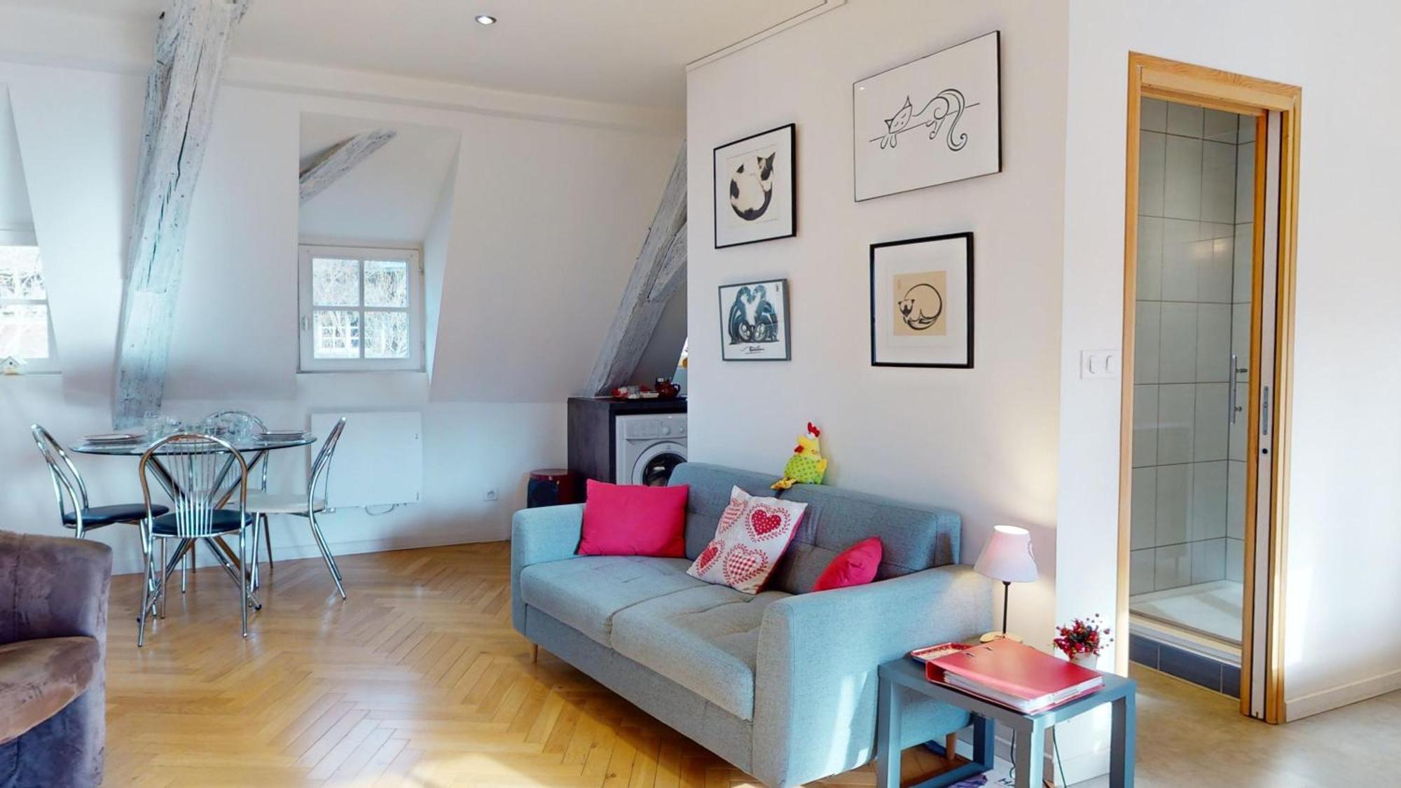 Duplex Le Coup De Coeur - Hyper Centre Colmar